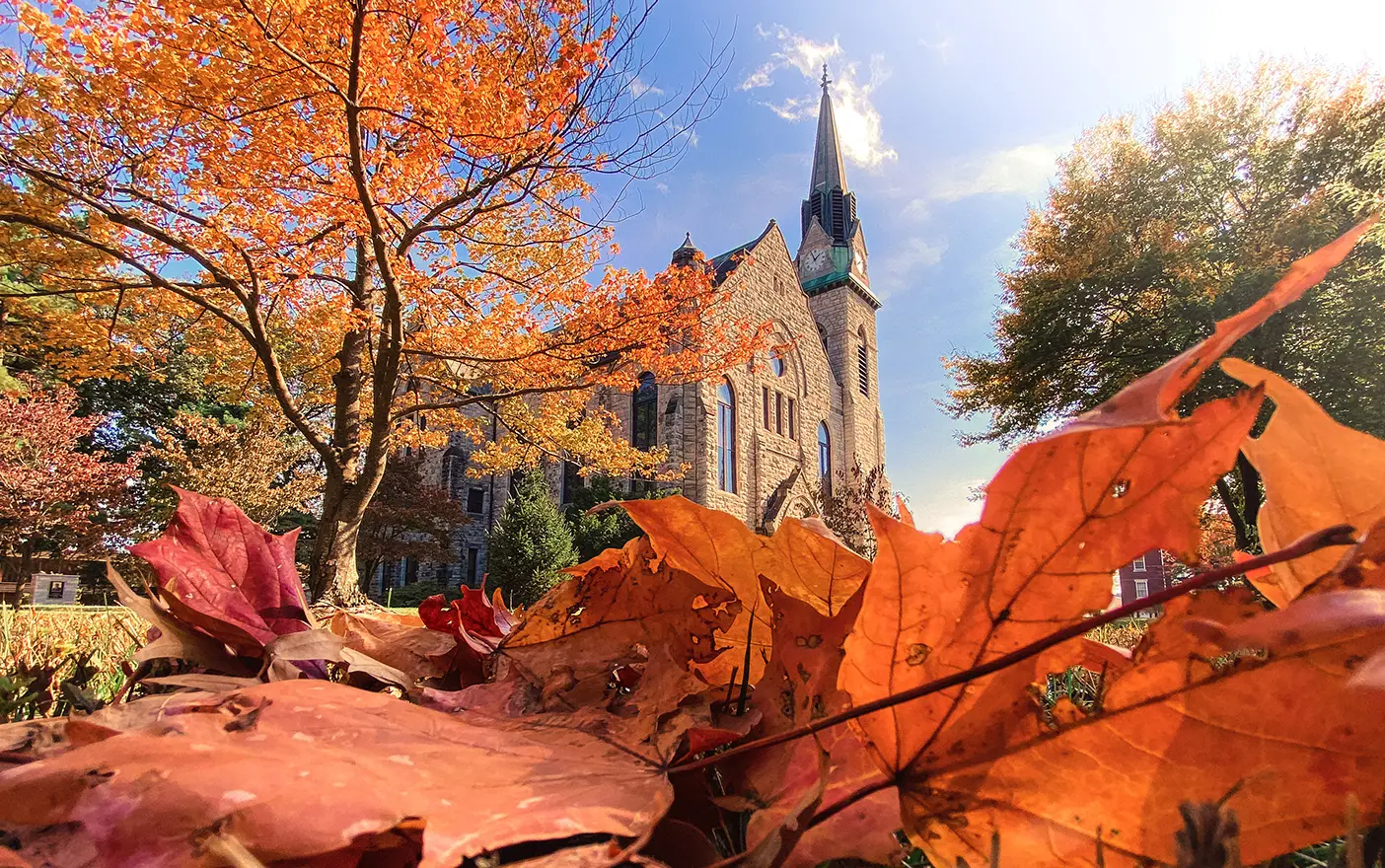 A fall picture taken from a pile of orange leaves on the ground facing up towards one of Drury University's buildings.