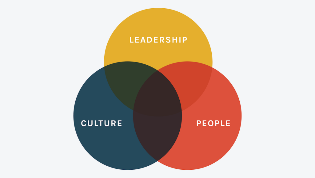 Venn diagram with "leadership, culture, and people" to demonstrate how to develop a thriving nonprofit culture.