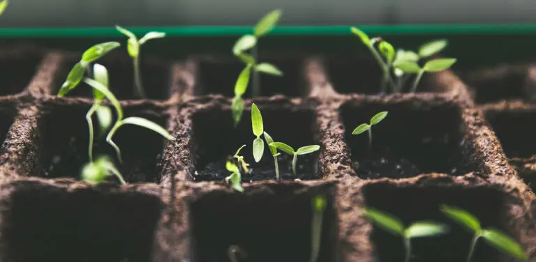 Your Guide to Increasing and Diversifying Your Nonprofit’s Fundraising Revenue