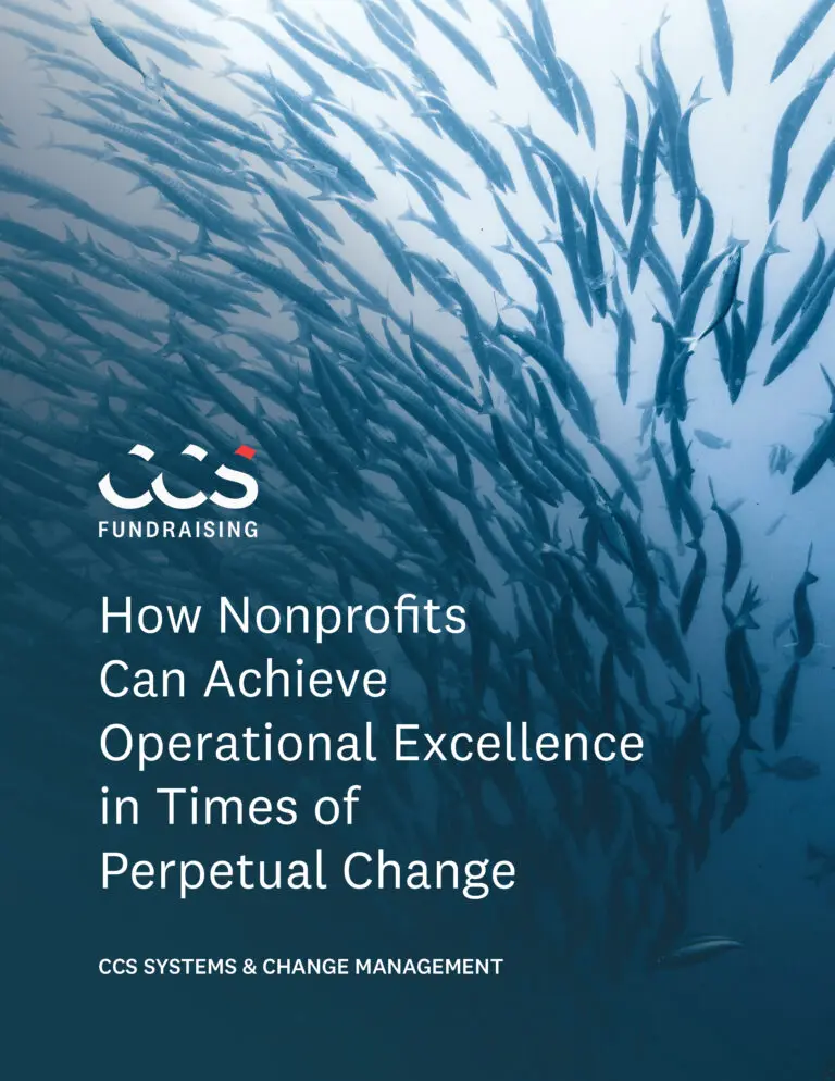 How Nonprofits Can Achieve Operational Excellence in Times of Perpetual Change