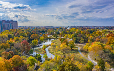 Forest Park Forever