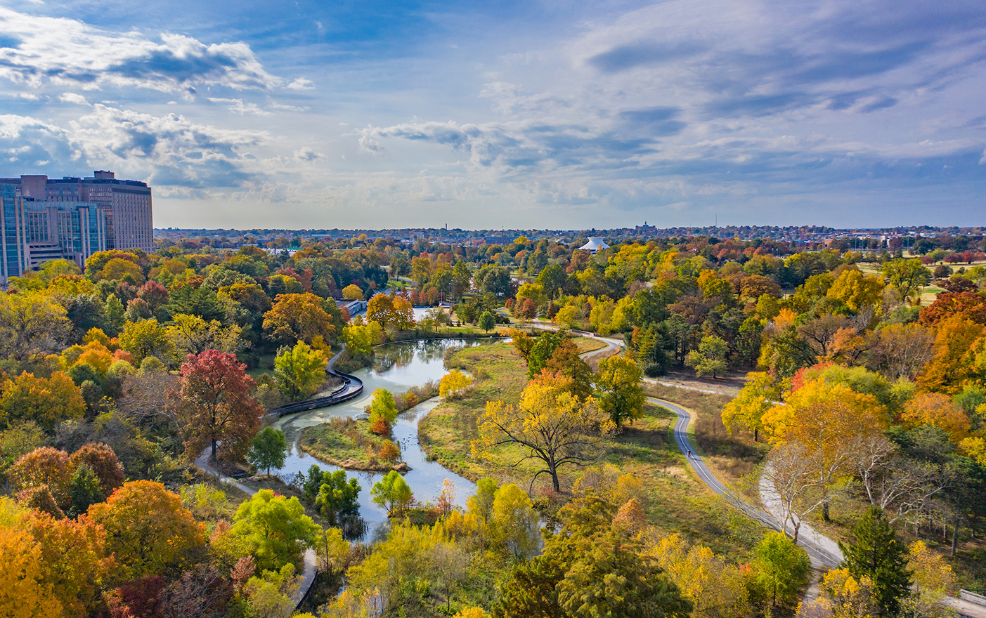 An aerial picture of the east side of Forest Park, with the trees in their full fall color.