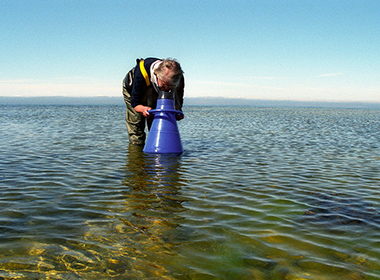 Marine Biological Laboratory