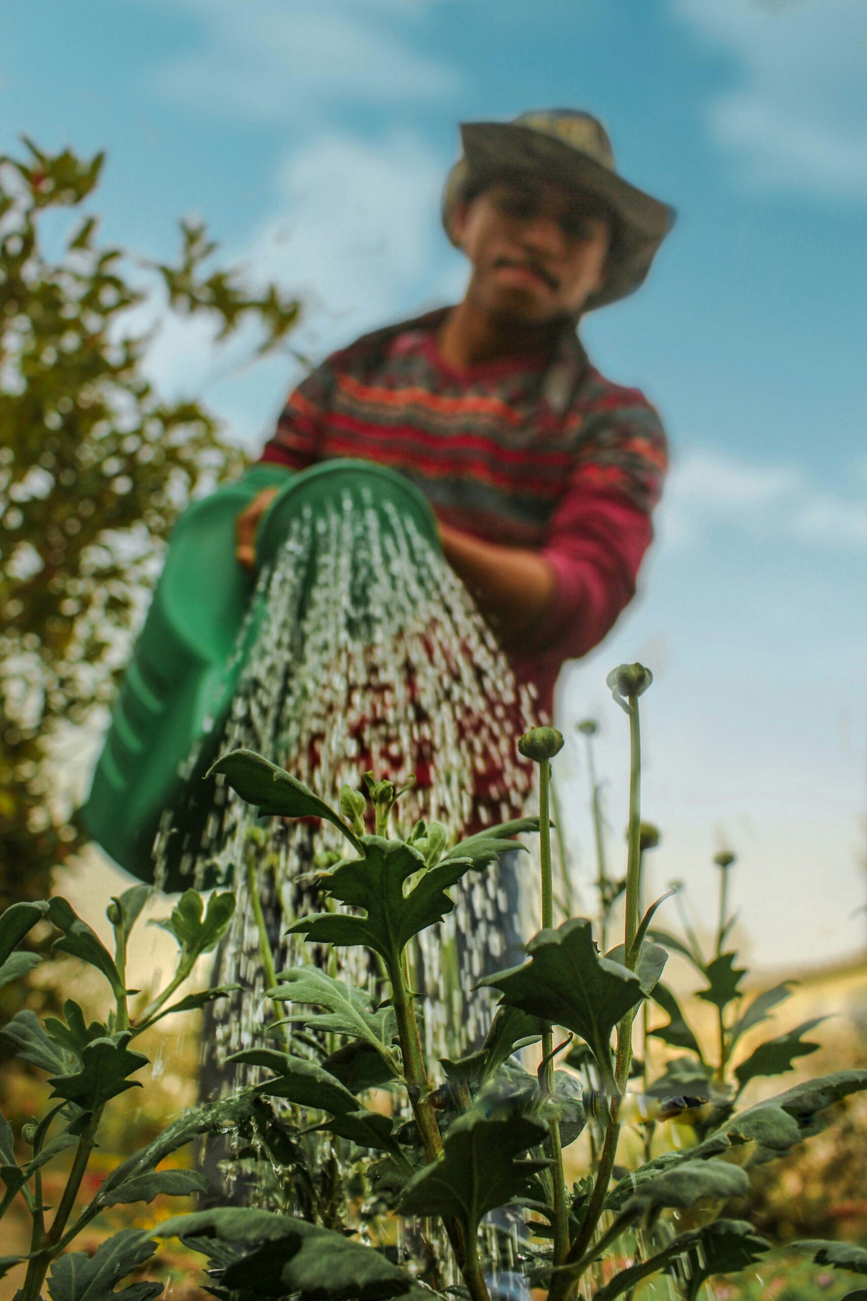 Environment & Animals