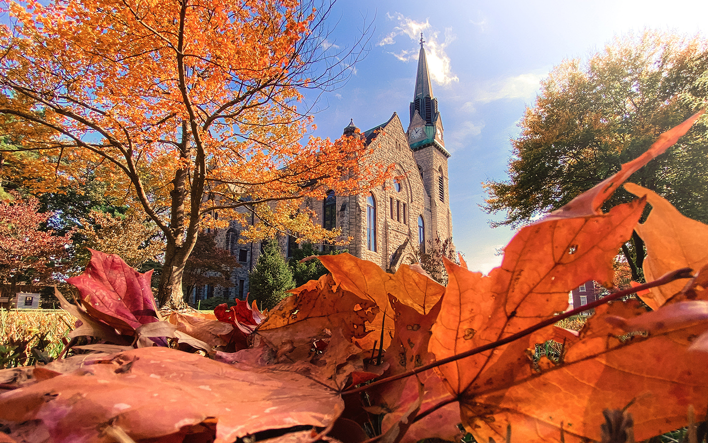 A fall picture taken from a pile of orange leaves on the ground facing up towards one of Drury University's buildings.