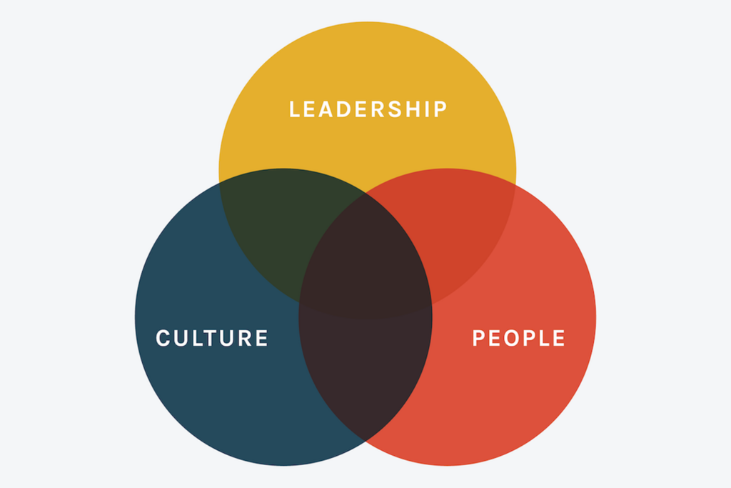 Venn diagram with the words