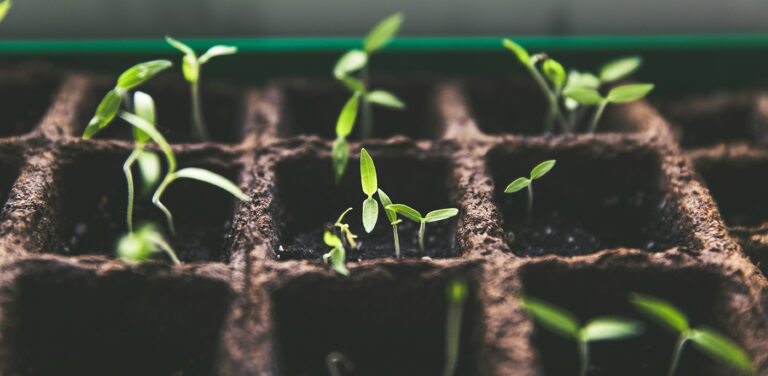 Your Guide to Increasing and Diversifying Your Nonprofit’s Fundraising Revenue