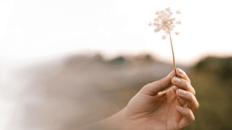 The Portrait of Jewish Giving Today