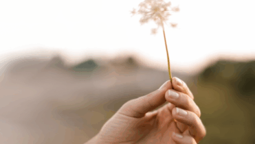 The Portrait of Jewish Giving Today