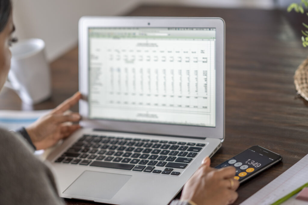 Excel Dashboards